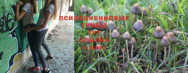 МДМА Аркадак