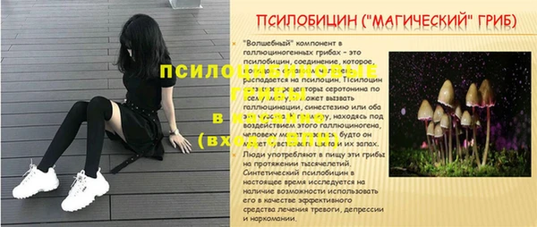 каннабис Арсеньев